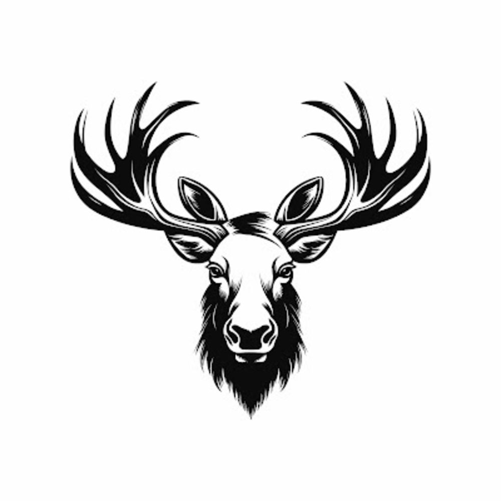 Meet your Posher, Jayden